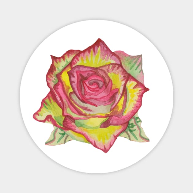 Beautiful yellow rose with pink petals Magnet by deadblackpony